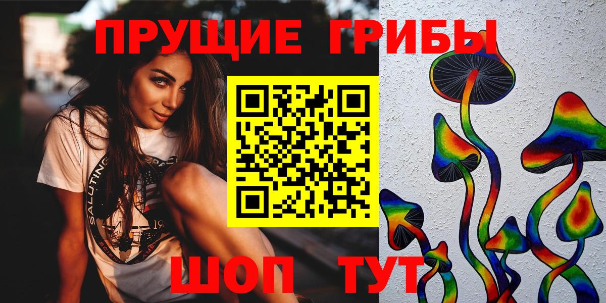 Кудрово  Галлюциногенные грибы прущие грибы  Вход с VPN 