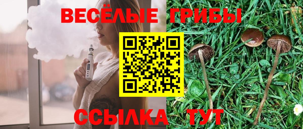 Галлюциногенные грибы Psilocybine cubensis Кудрово